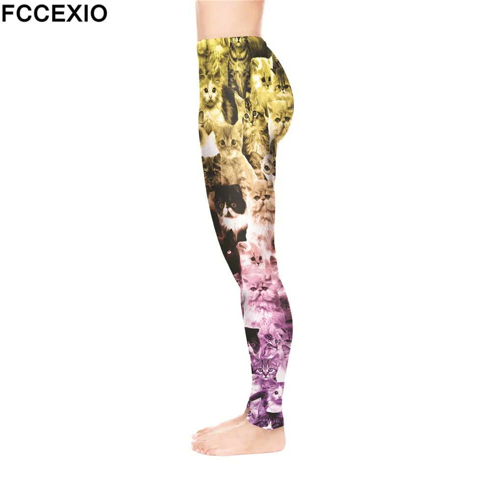 52180 CATS YELLOW VIOLET (3)