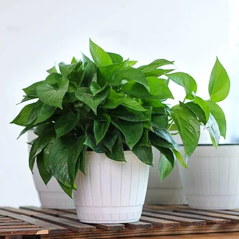 

Automatic Self Watering Flower Plants Pot Put In Floor Irrigation For Garden Indoor Home Decoration Gardening Flower Pots 3 Size