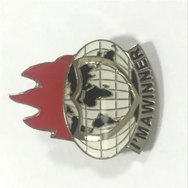 

Quality Excellence Earth Painted Badge Top quality silver plating badges