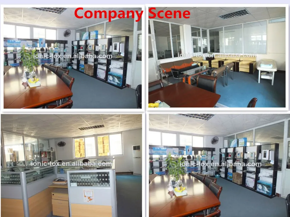 Company 
