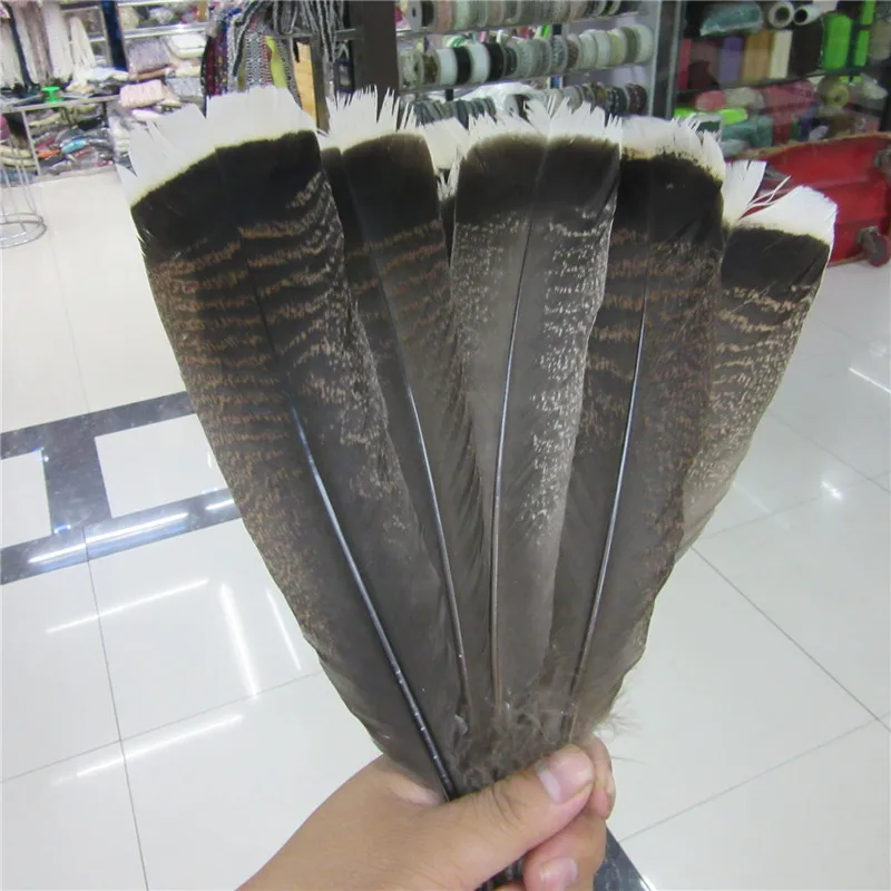 10-100 Pcs high quality natural Eagle bird feathers 25-30cm Selected Prime Quality Eagle feathers diy jewelry decoration