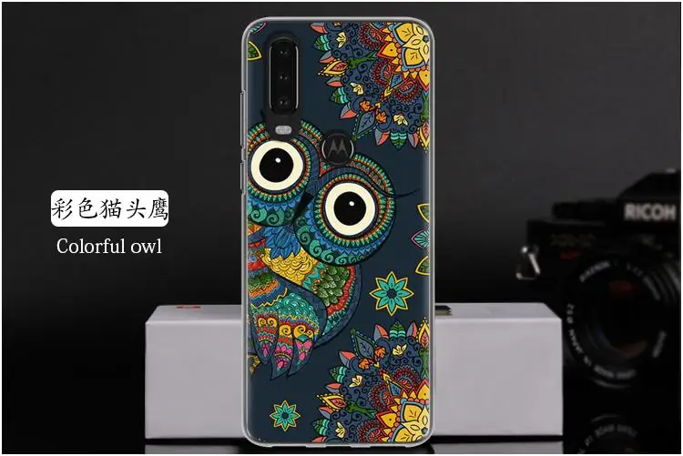 彩色猫头鹰 Colorful owl