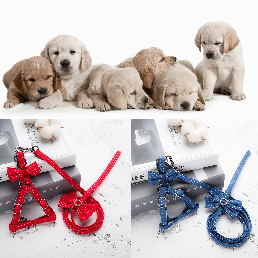 

Pet Cat Dog Cat Wave Point Tie Vest Chest Straps Belt Set Adjustable Outdoor Security Training Dog Harness Collars Pet Dog Tag