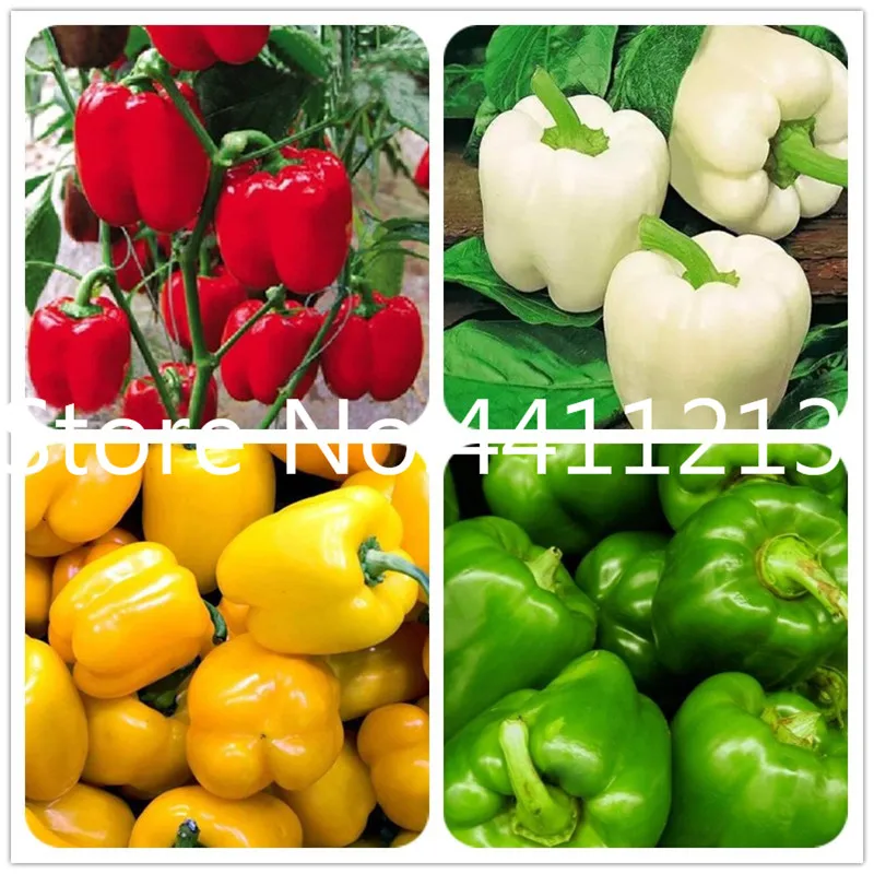 

100 pcs Mixed Yellow Puple Red Green White Mix Sweet Bell Hot Pepper bonsai Vegetables Paprika, Bonsai Plant for Home Garden