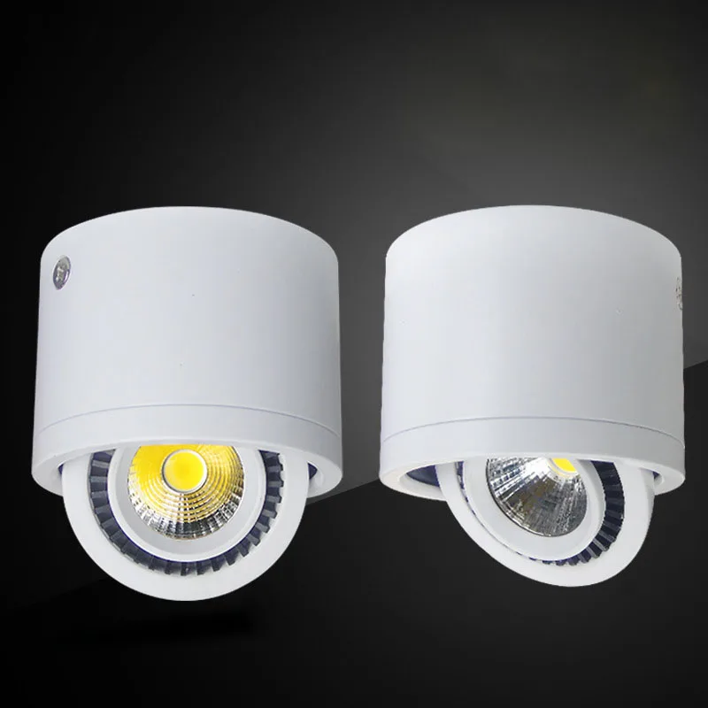 

Downlights Black/White LED Surface Mounted Light 3W/5W Ceiling Lamp Round COB LED Recessed Lights 24 Degree Lighting Angle