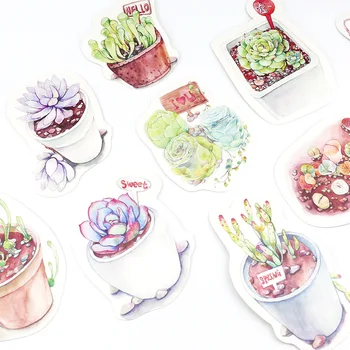 

30pcs colored pencil painting succulent card multi-use Scrapbooking party invitation DIY Decor gift card message card postcard