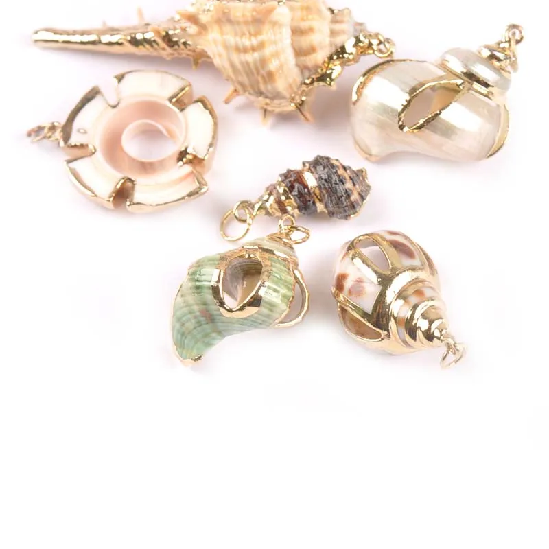 

5pcs mix Natural Shell Gold Plated for Craft DIY handmade seashells Making pendant Home decoration Jewelry TR0217