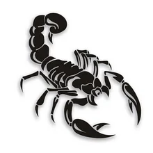 Car Styling Personality Cover Scratches Before And After Bumper Scorpion Stickers Car Accessories CT 543