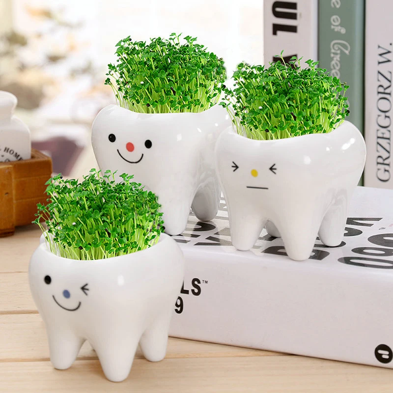 Cute-tooth-pot-vase-creative-ceramic-cartoon-tooth-flower-pot-succulent-flower-pot-home-decoration-crafts (1)