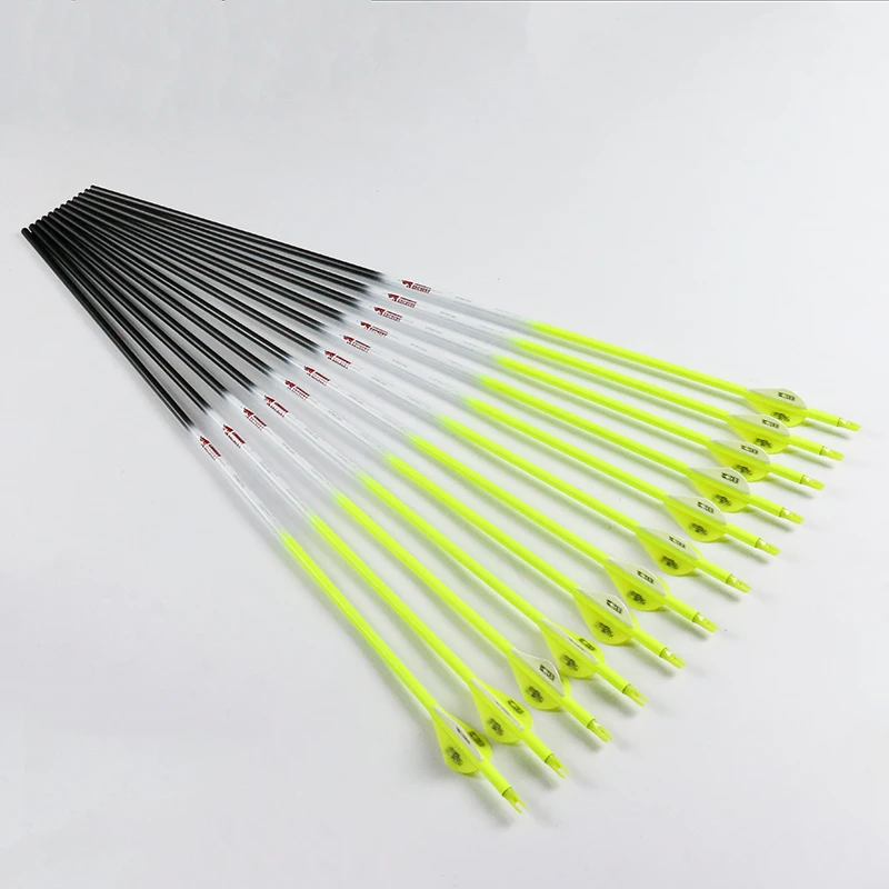 ZSHJGJ 30 Inch Achey Cabon Aows Hunting Aows With 4 Turkey Feather Target Practice Arrows Spine 500 For Compound Recurve Traditional Bow 6 12pcs 6 X Green Arrows