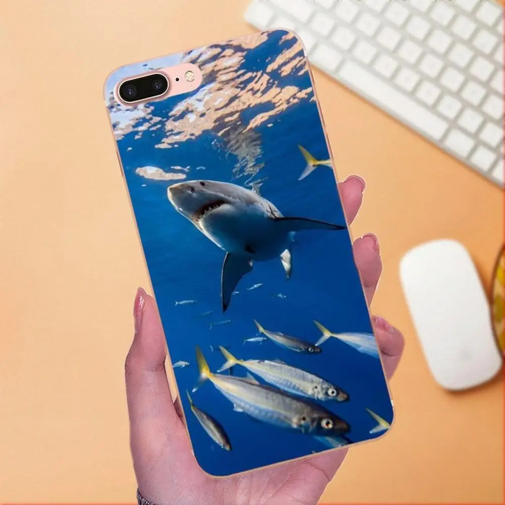 Для Galaxy A3 A5 A7 On5 On7 2015 2016 2017 Grand Alpha G850 Core2 Prime S2 I9082 TPU океанские киты акулы