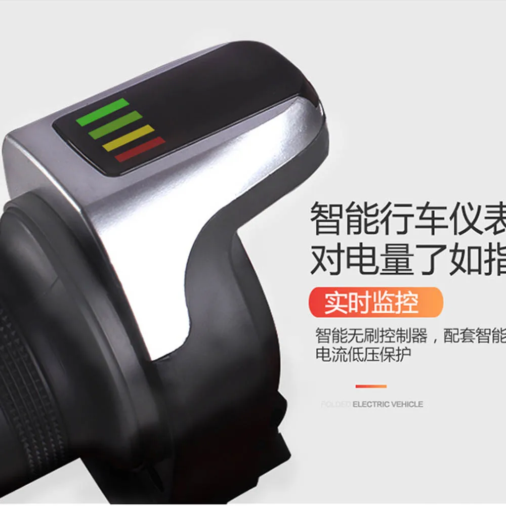 LUGGAGE SCOOTER (10)