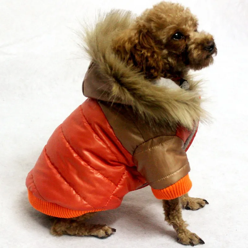 Warm Dog Coats for Small Dogs Chihuahua Winter Clothes Jacket Cute Hot