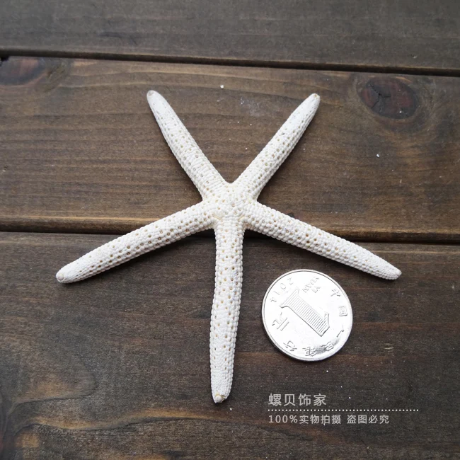 

HappyKiss 8cm-10cm Beach Decor Small 10pcs Starfish for Nautical or Crafts wedding party decoration