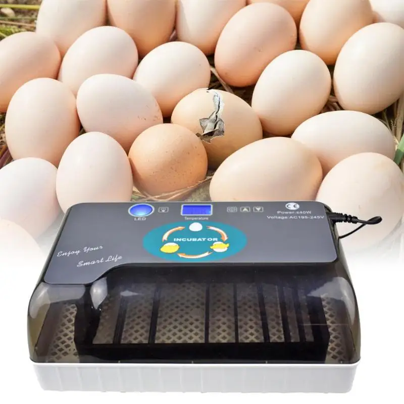 Новейшая лучшая сельскохозяйственная инкубаторная машина, автоматический инкубатор для яиц, инкубатор для яиц, Брудер для курицы, утки, Перепелиных яиц, материал ABS