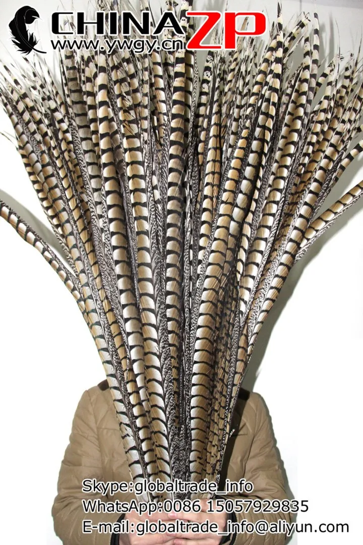 IMG_1345