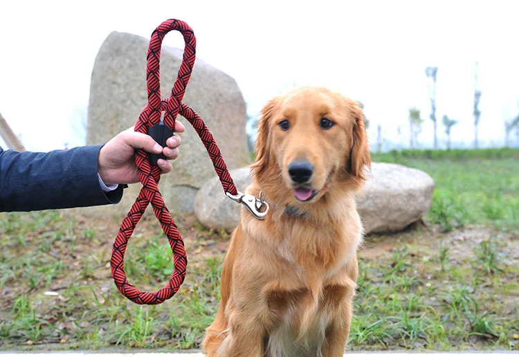 Stronge Rope Lead Golden Retriever Big Dog Large Dog Leash Walking