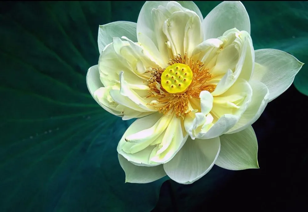 QQ20180501234927