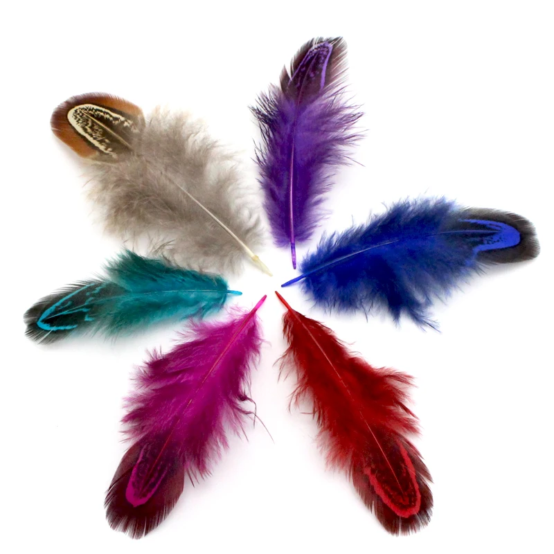 

Lucia crafts 12pcs 4-7cm Multi-colour DIY Wedding Party Decorative Pheasant Plume Feather Natural Feathers for Home Decor H0512