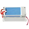 ATWFS 7g/h Ozone Generator 220V/110V Generator Water Air Cleaner with Ceramic Plate Longevity Double Sheet Sterilizer ► Photo 2/6