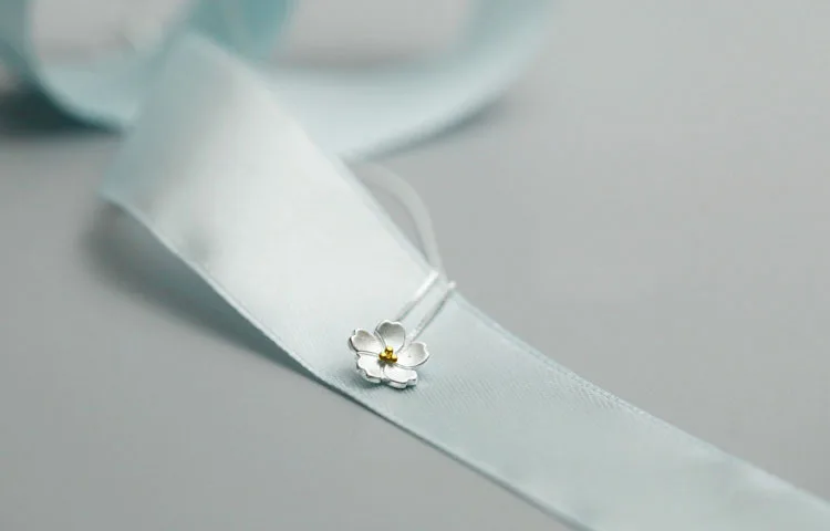 2288774374_823318017