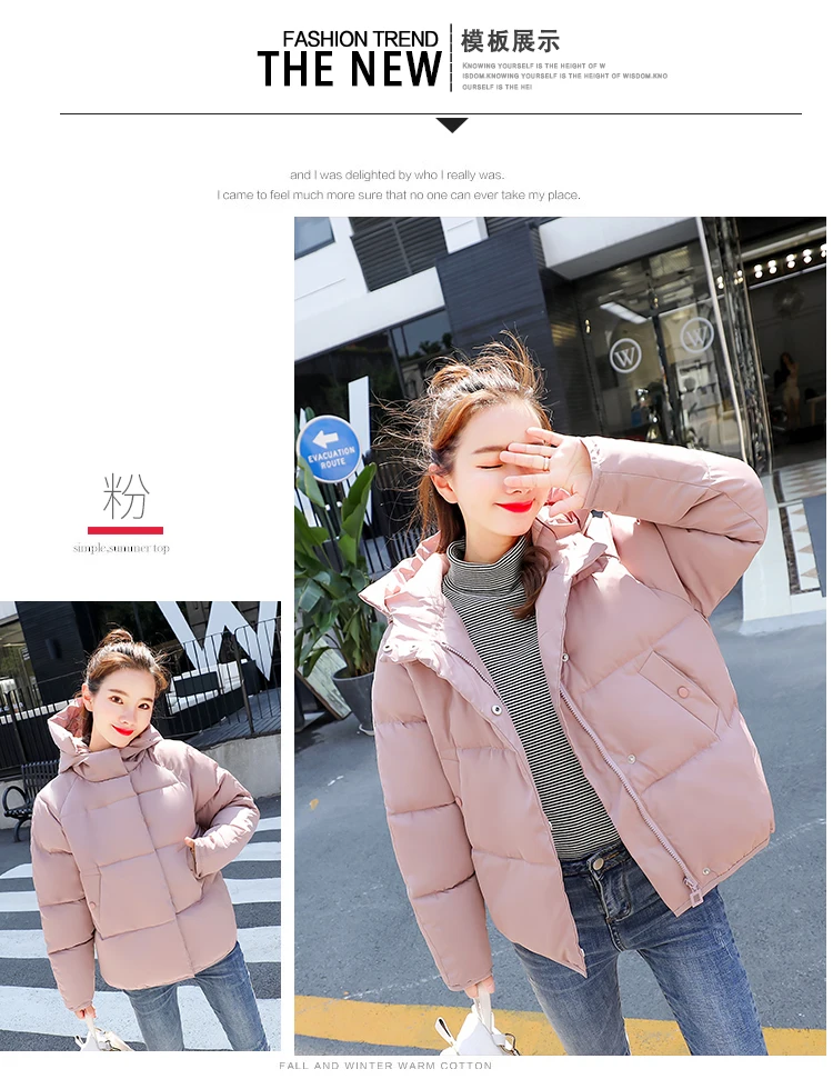 Spring Autumn Winter New 2018 hooded coat Plus Size Women Parks Long Sleeves Women Winter Coat slim Female Outwear Winter Jacket (2)