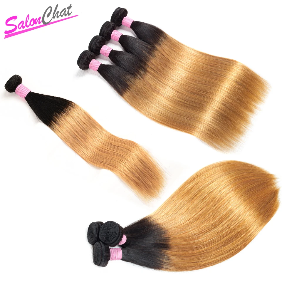 

1/3/4 1B/27 Ombre Straight Hair Bundles Burgundy Hair Weave Bundles Brazilian 100% Remy Human Hair Extensions SalonChat