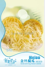 12 pcs/ Bag Rare Special Pumpkin Gold Wire Seeds, Original Pack Super Easy Grow Salad Vegetable Gold Stirring Melon Seeds