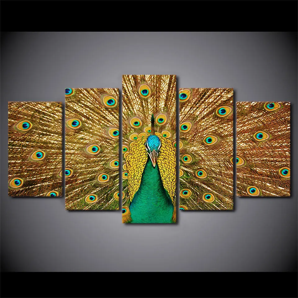 5 Pieces Canvas Prints Animal Colorful Peacock painting Wall Art Panels