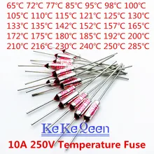 100PCS TF RY-65 RY-72 RY-77 RY-85 RY-95 RY-98 RY-100 RY-105 RY-110 RY-115... Fusível da temperatura do escudo do metal do grau 250 v 10a