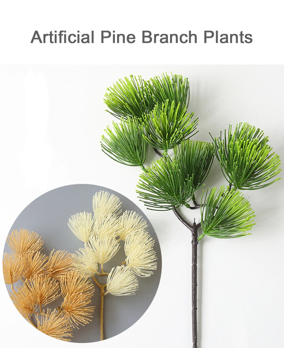 1plants
