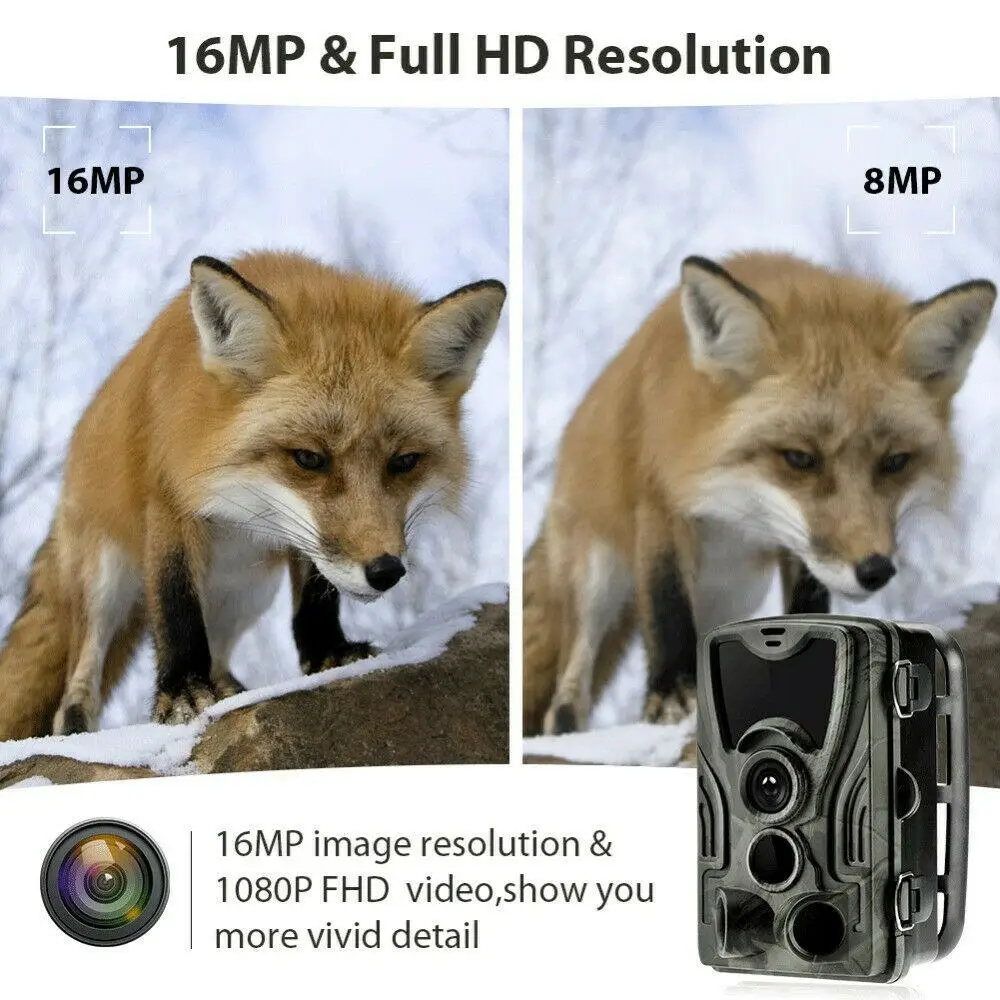 HC801A диких животных Камера 16MP Trail ночная версия камеры лес Ip65 дикой природы Камера Камеры Скрытого видеонаблюдения Chasse Scouts r20
