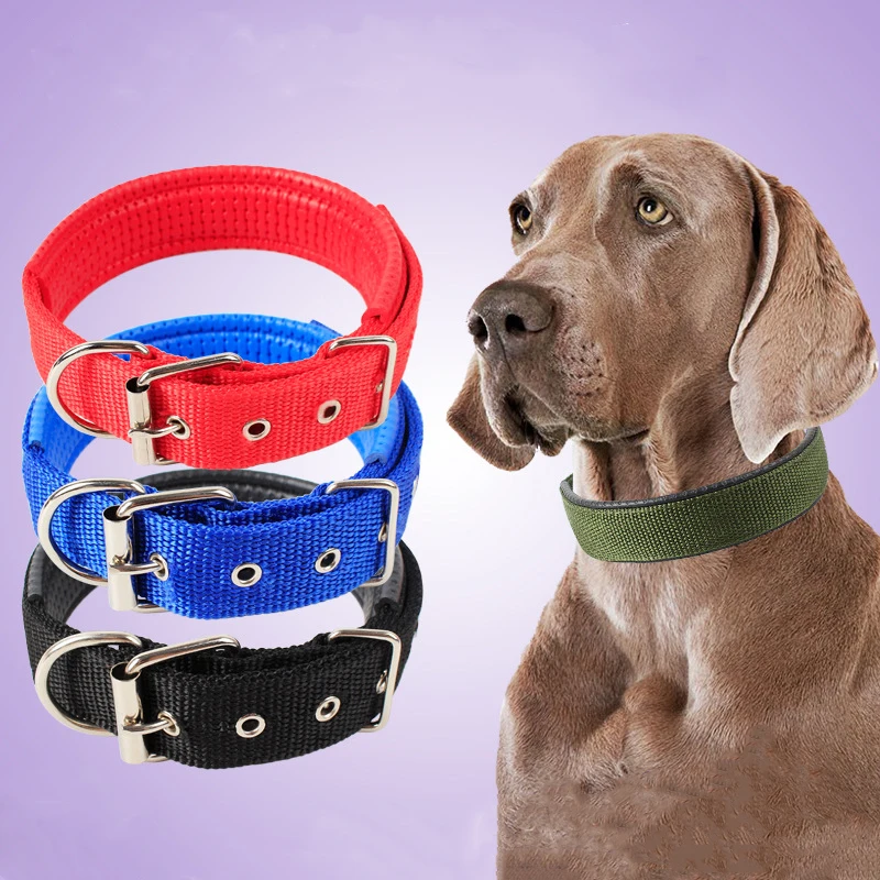 Collar Para Perro Doble Círculo Perros Medianos Y Grandes Collar Para Perro Doble Círculo Perros Medianos Y Grandes