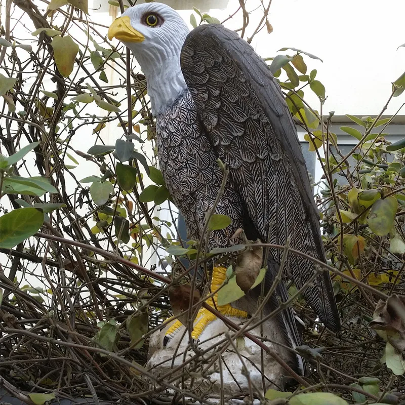 ZILIN NEW Product! Blad Eagle Decoy Bird Scaring Eagle decoy Garden