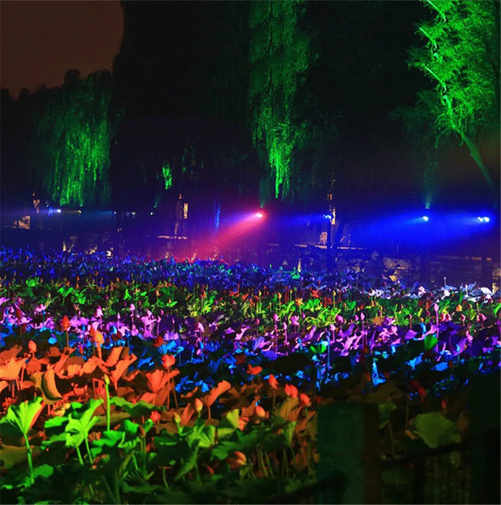 11 (4)