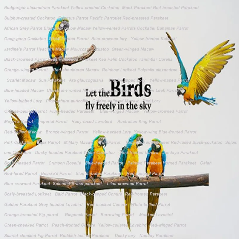 detail bird
