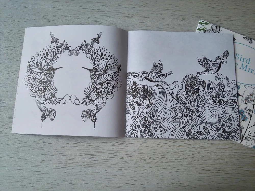 English Edition Bird Magic Mirror 24 Pages Secret Garden Styles Coloring Book For Adult Relieve Stress