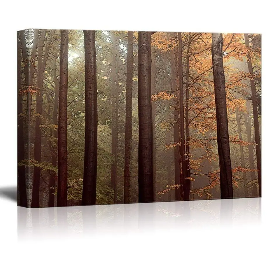 71GjR57W-VL._SL1000_