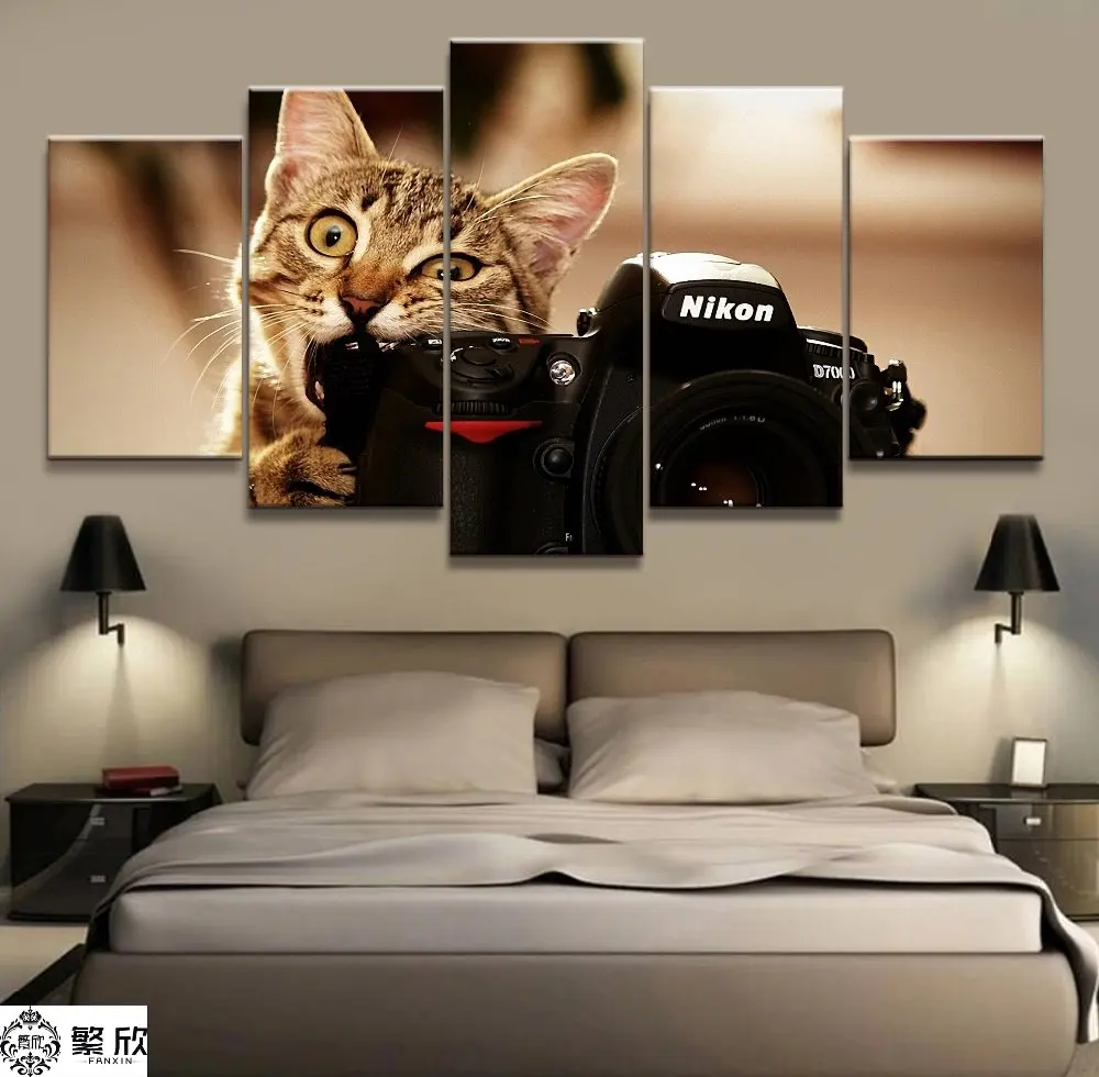 

5 Panel Cat and Camera Animal Canvas Printed Painting For Living Room Wall Art Home Decor HD Picture Artworks Poster