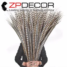 Ведущий поставщик ZPDECOR 40-44 дюйма(100-110 см) 10 шт./лот, натуральный фазан Амхерст, очень длинный хвост, перья для карнавала