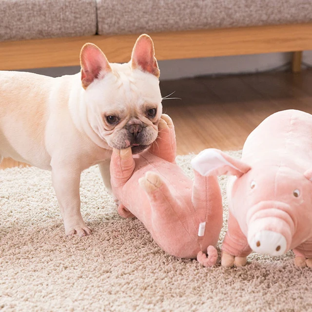 Neamou Jouets de poupée d'animaux en Peluche chantants - Jouet de Cochon  Parlant en Peluche en Peluche,Jouets de poupée de Cochon en Peluche  chantante Douce pour Animaux de Compagnie, Petits Chats 