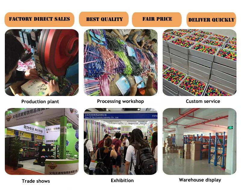 company introduction