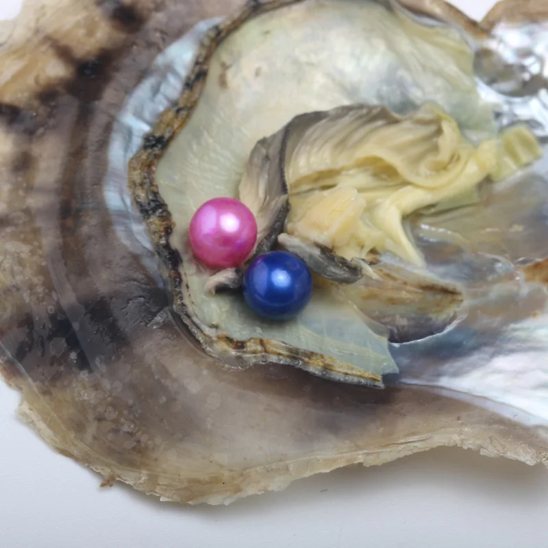 9 шт. морской Oyster комплект Класс AAA 7 8 мм 25 Цвета круглый пресноводной жемчужиной в