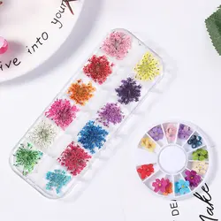 DIY 3D прессованный красочный слайдер стикер лак маникюр Дизайн ногтей украшения новый шарф с подвеской натуральный сушеный цветок для