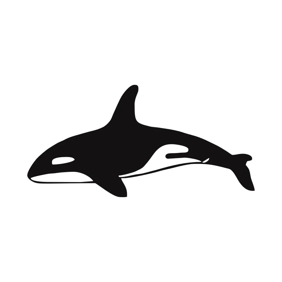 Cunymagos Orca Killer Whale Fish Car Stickers Decals Classic Car Styling Decoration Accessories Motorcycle Sticker 15.27 (3)