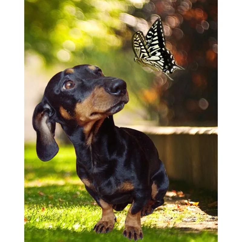 

5D DIY Diamond Painting dogs Cross Stitch full drill square /square resin Rhinestones 3D Diamond Embroidery Animal wall decor
