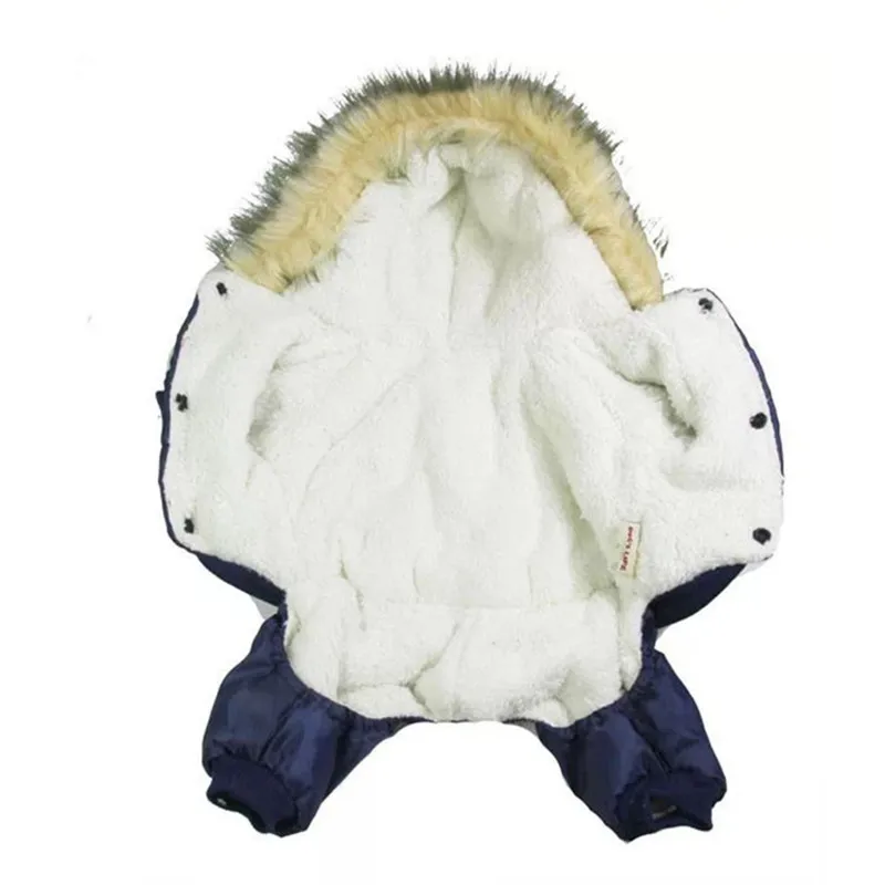 dog clothing
