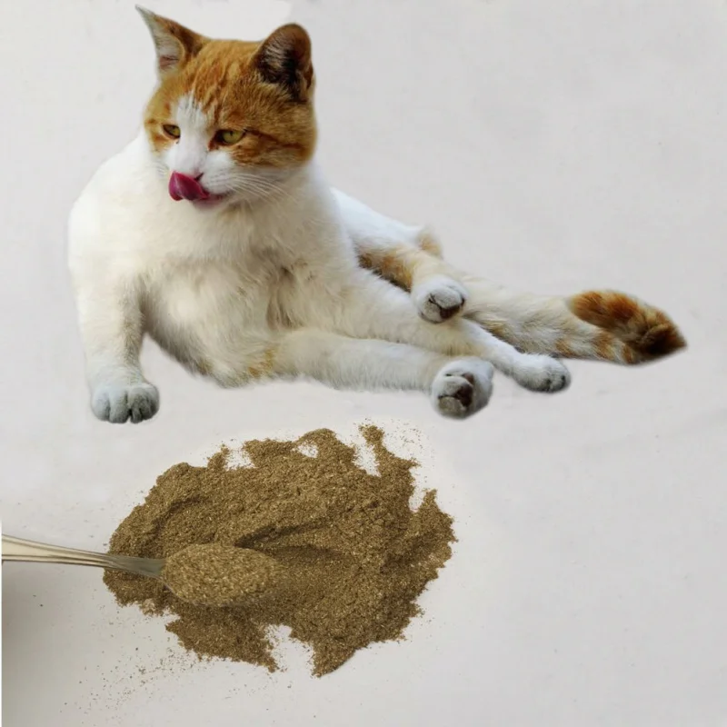 Trockenen Naturliche Katzenminze Blatter Pulver Katzchen Snacks