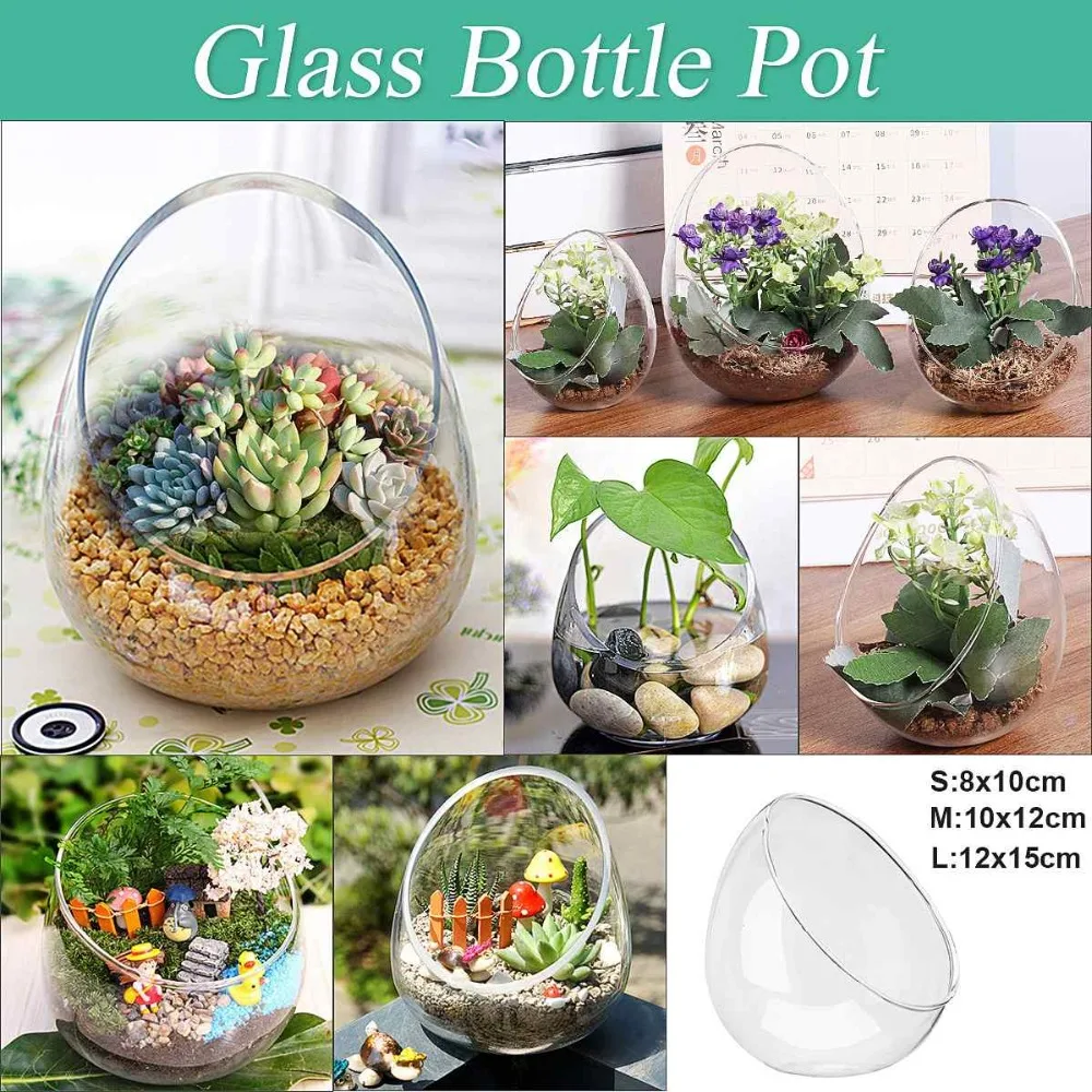 

Modern Mini Clear Ball Landscape Plant Glass Vase Flower Plant Terrarium Container For Your Home Office Plants Vase Decor