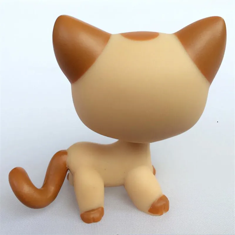 5 - 